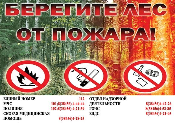 берегите лес 2